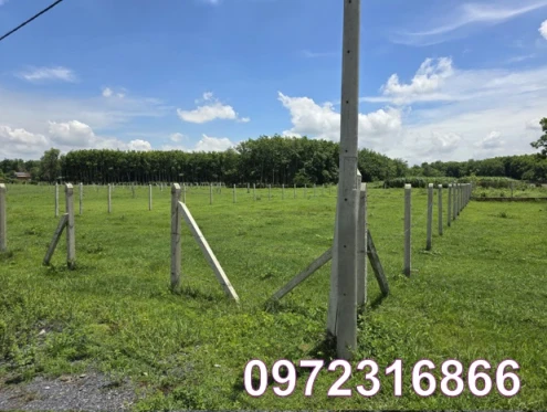 ⭐️Cần bán lô đất CLN vị trí đẹp tại tổ 19, Ấp Cây Sộp, xã Tân An Hội (Củ Chi), TP.HCM, 0972316866