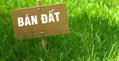 ⭐️Bán 100m2 đất nền KĐT Yên Bái RiverSide - Đ.Bách Lẫm, Âu Lâu (TP.Yên Bái cũ), Lào Cai, 0835793468