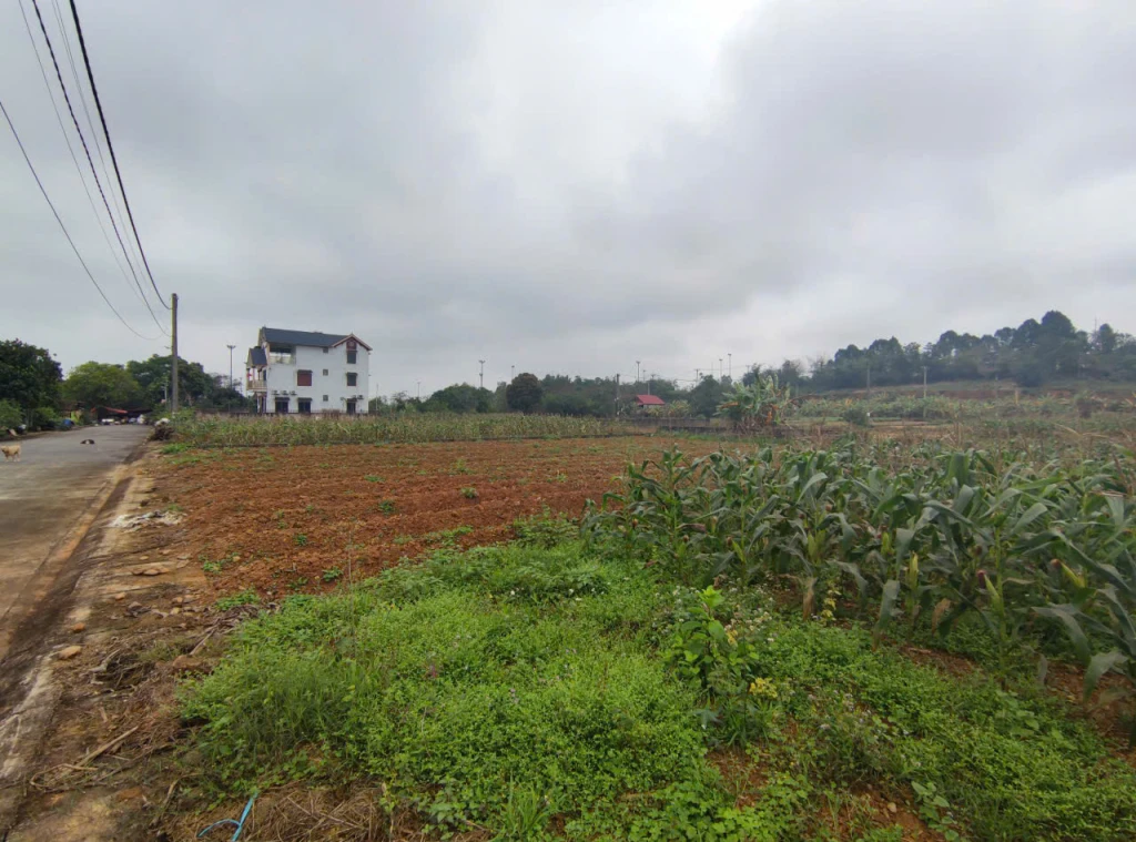 Đất tái định cư Đồng Doi – điểm sáng đầu tư gần ĐHQG Hà Nội