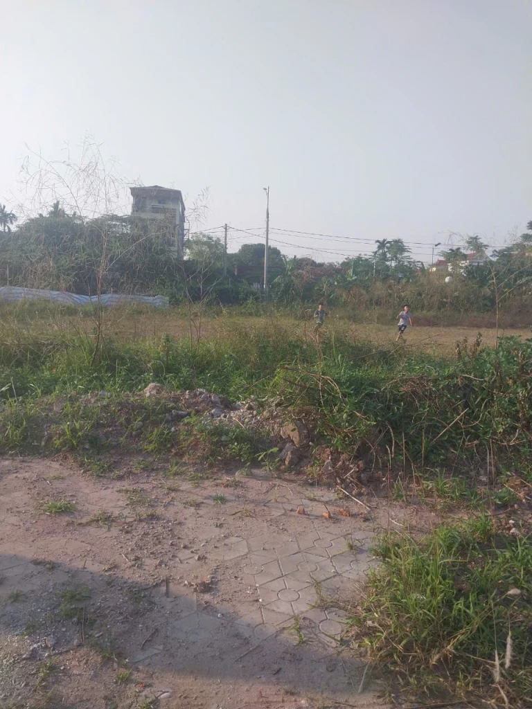 BÁN 3 HA ĐẤT SẢN XUẤT KINH DOANH TẠI PHÚ TÚC - PHÚ XUYÊN - HÀ NỘI - CHỈ 5 TRIỆU/M2