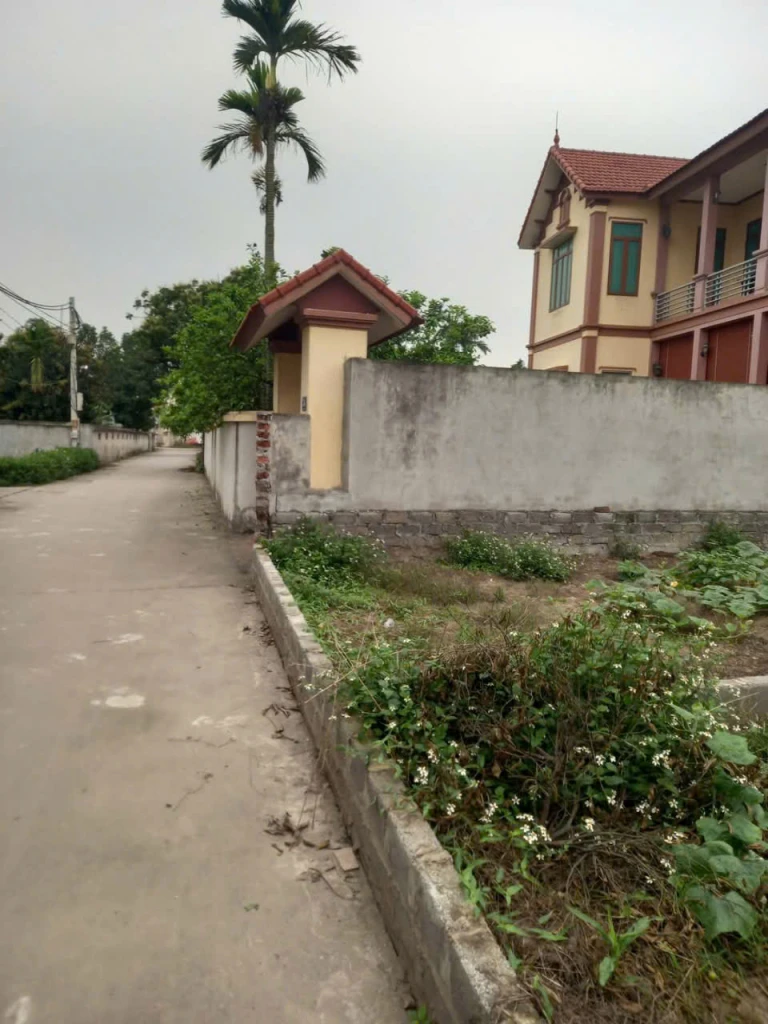'BÁN ĐẤT THỔ CƯ TÂN DÂN – PHÚ XUYÊN  590M²  GIÁ CHỈ 1X TRIỆU/M²