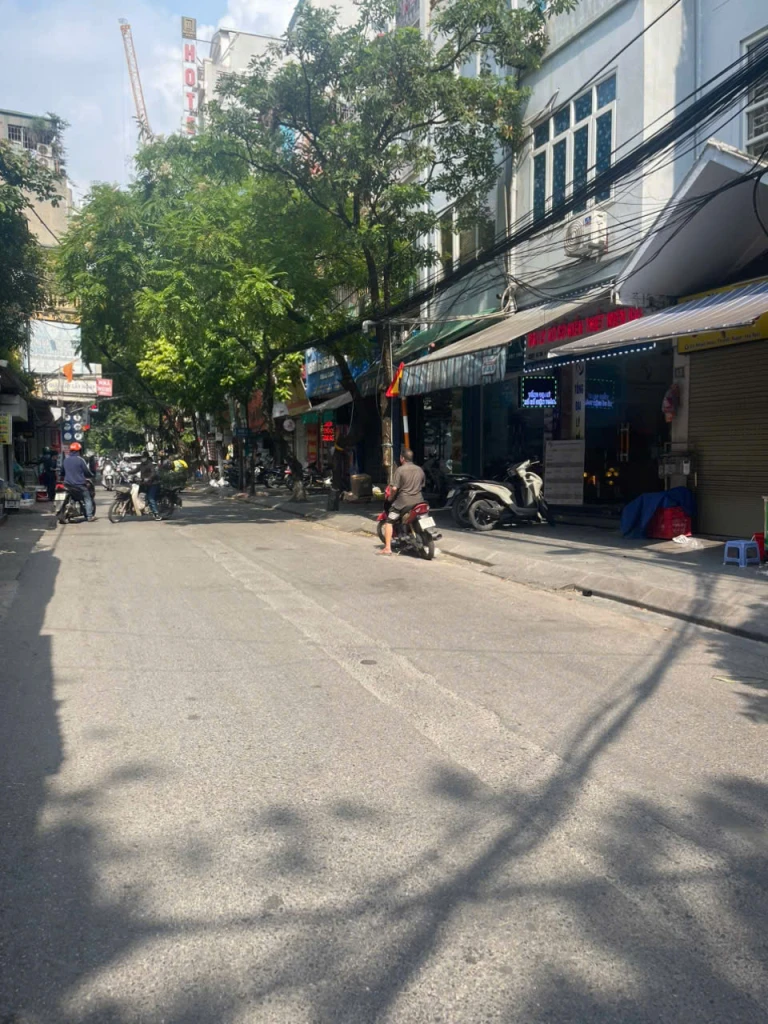 Bán nhà mặt phố Nhân Hòa, Vũ Trọng Phụng