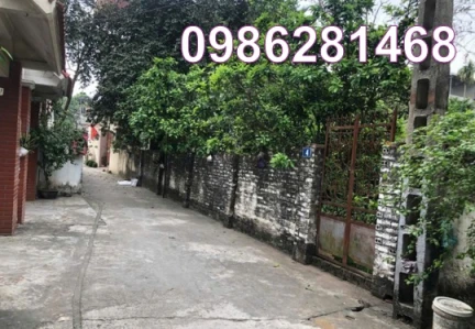 ⭐️Chính chủ cần bán đất vị trí đẹp tại thôn Thông Nhất, Song Phượng,  Đan Phượng, HN, 0986281468