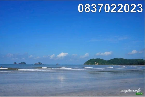 ☢️Chính chủ bán 50.000m đất đẹp Đ.Trường Chinh, đặc khu Vân Đồn, Quảng Ninh, 0837022023