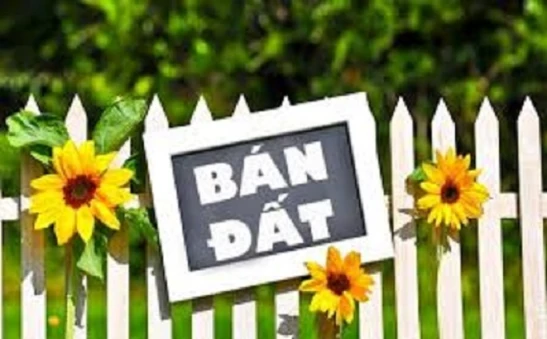 🌺Chính chủ bán 1497m2 đất sẵn sổ đường ô tô tại Nội Hóa 1 - Dĩ An - Tp.HCM, 0911341212