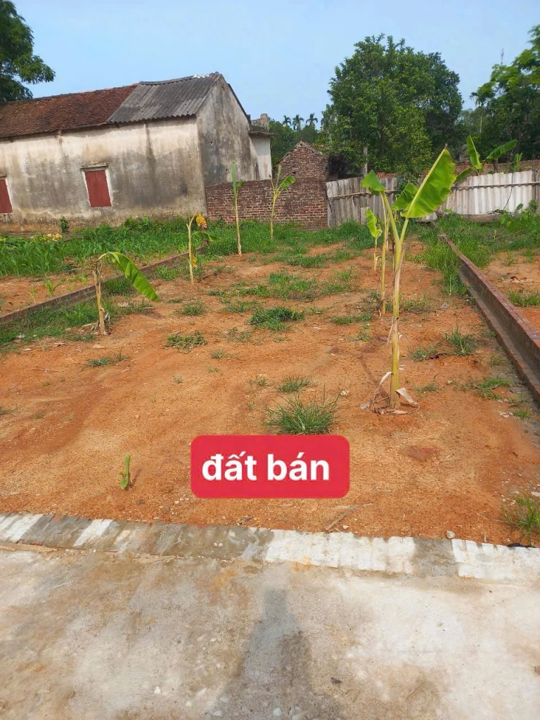 Chủ thở oxy bán cắt lỗ lô đất 82,2m2 full thổ cư đường 4m ô tô vào đất tại Sơn Đoài- Tân Minh- Sóc Sơn- Hà Nội