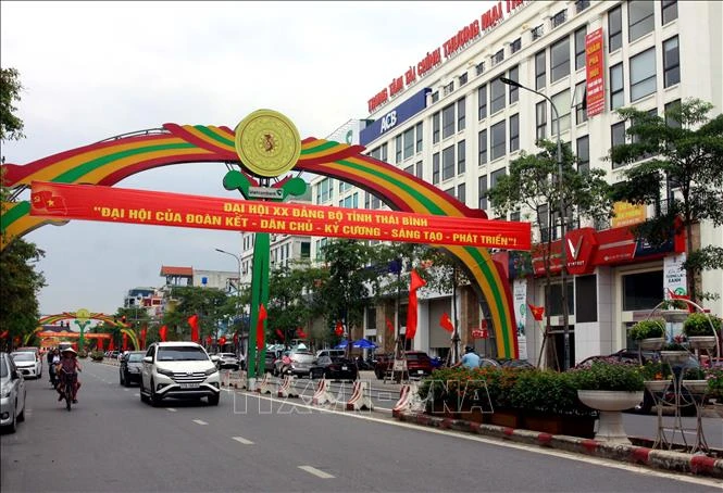 vna_potal_thai_binh_ruc_ro_co_hoa_chao_mung_dai_hoi_dang_bo_tinh_lan_thu_xx_092136384_stand.jpg