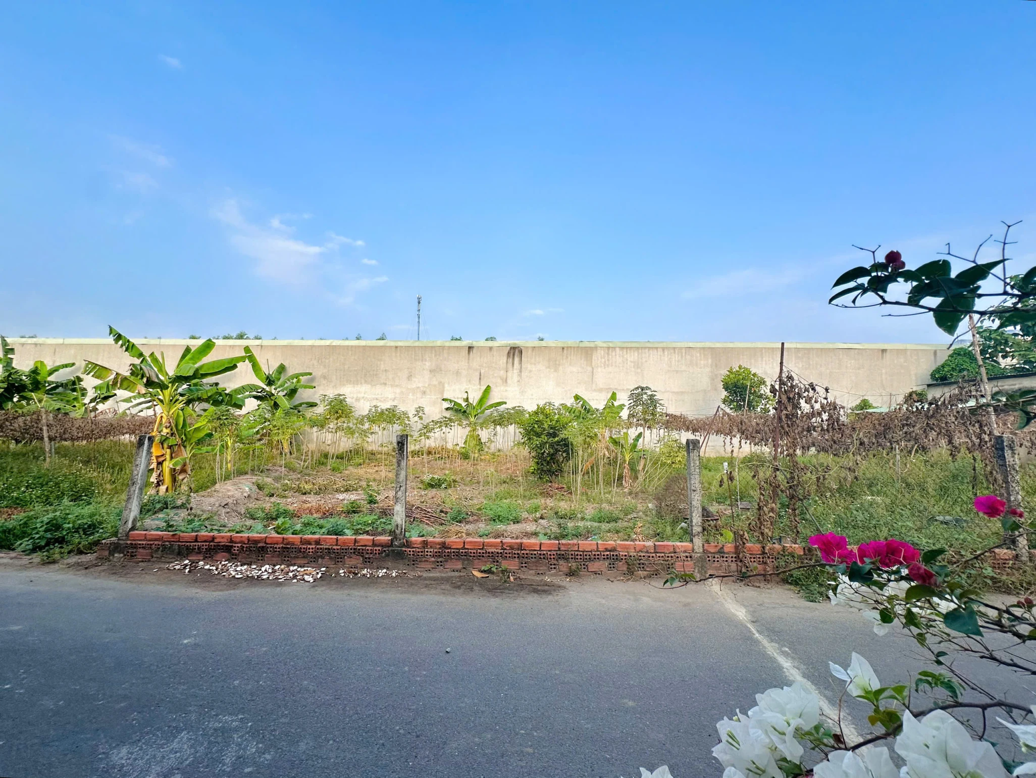 BÁN ĐẤT F0 GIÁ GỐC – 12 NỀN GIÁP SÔNG TÂN TRIỀU!