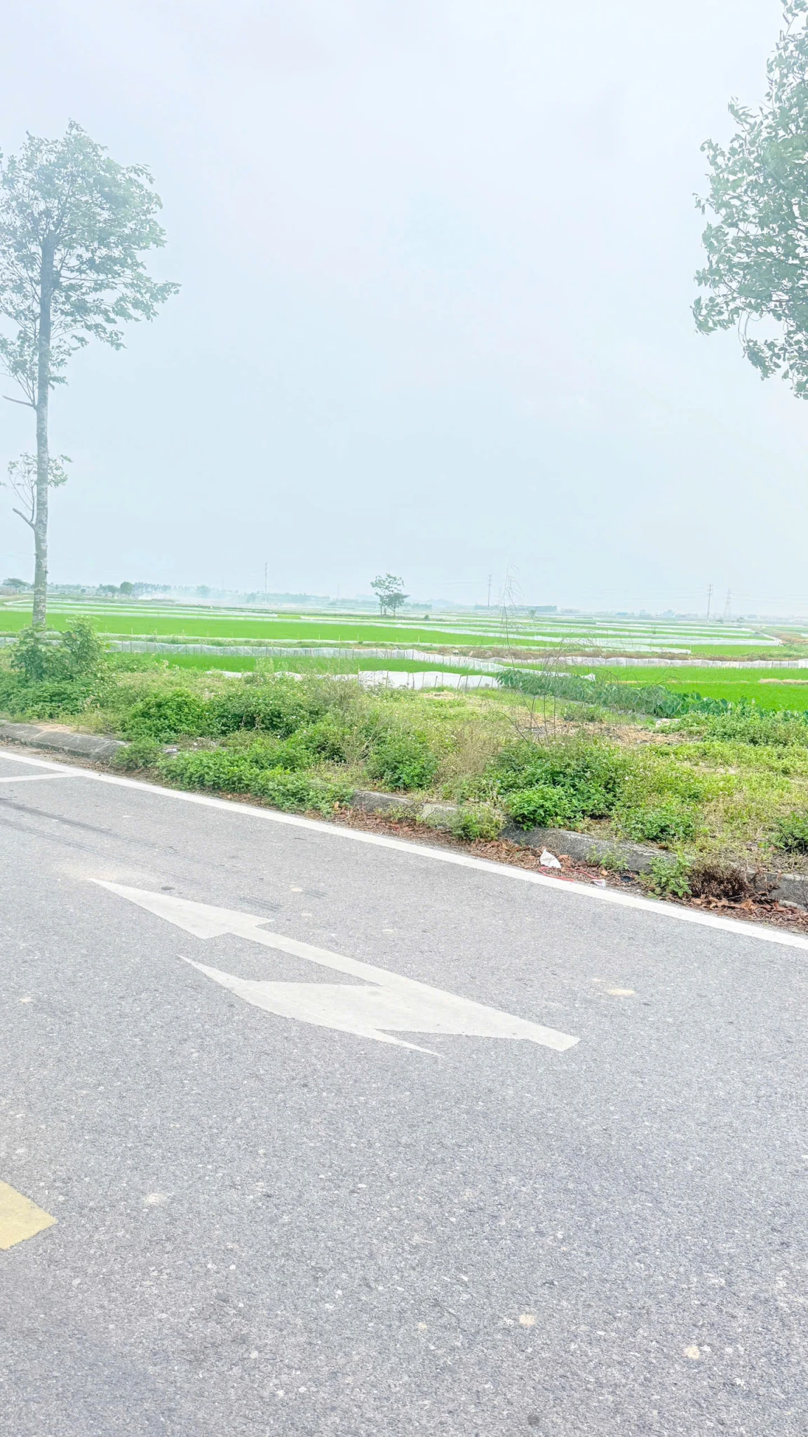 Bán Đất Khu Đô Thị Đức Giang, Yên Dũng, Bắc Giang. Cửa Ngõ KCN. 90m2- Mt 5m, Gia 3,3 tỷ