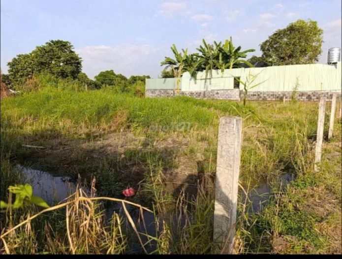 TỔNG THỂ LÔ ĐẤT DIỆN TÍCH LỚN – VỊ TRÍ ĐẸP NGAY TRỤC VÀNH ĐAI 3 – BÌNH MỸ, CỦ CHI