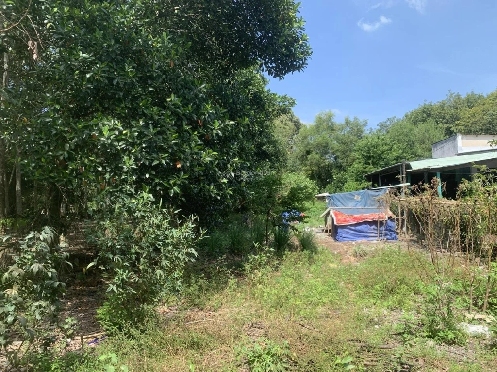 CHÍNH CHỦ BÁN ĐẤT 554m² – LONG NGUYÊN (HỒ CHÍ MINH MỚI) – GIÁ TỐT