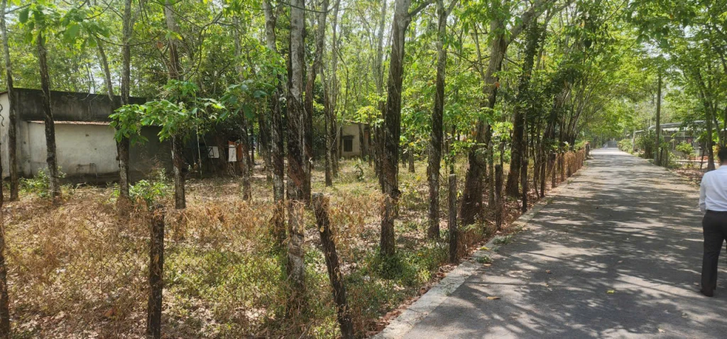 CẦN BÁN QUỸ ĐẤT LỚN 3 MẶT TIỀN NGAY SAU LƯNG CHỢ ĐỊNH HIỆP – DẦU TIẾNG