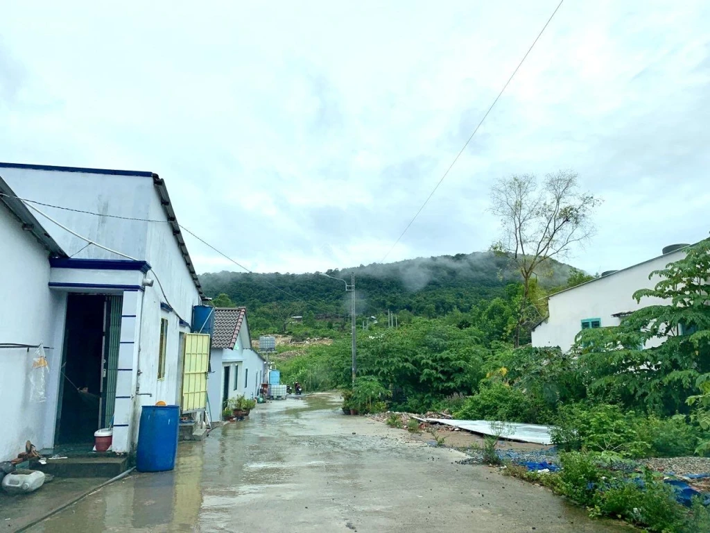 Bán đất thổ cư diện tích 1000m2 tại đặc khu Phú Quốc