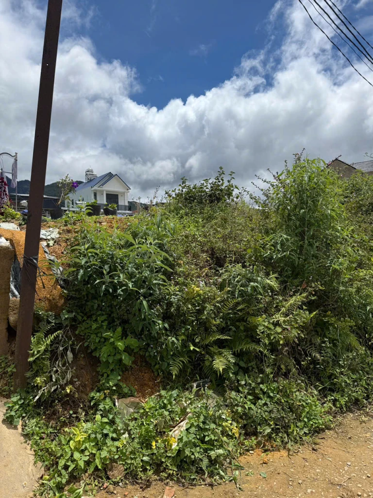 Cần bán đất 100% thổ cư phường LangBiang (Lạc Dương cũ)