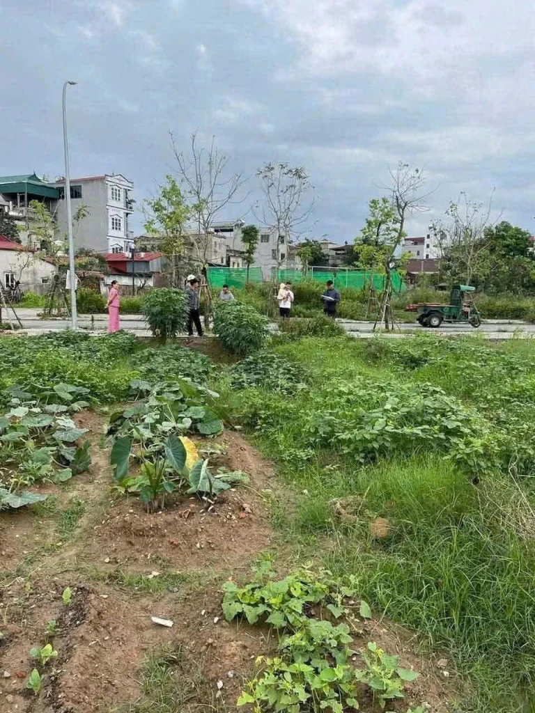 Rẻ nhất khu tái định cư Thư Lâm, Đông Anh - Vị trí đẹp - Gia đình cần vốn nên bán gấp