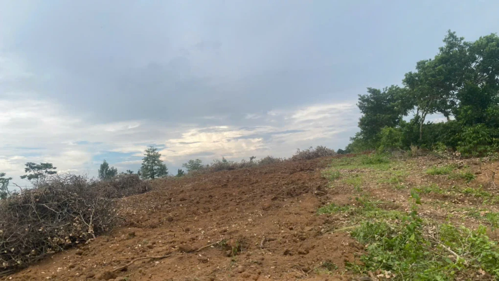 Chính chủ bán đất Bắc Sơn, Đắk Mil, Lâm Đồng - 2,75ha, cách QL14 chỉ 400m, có hồ 2.000m3