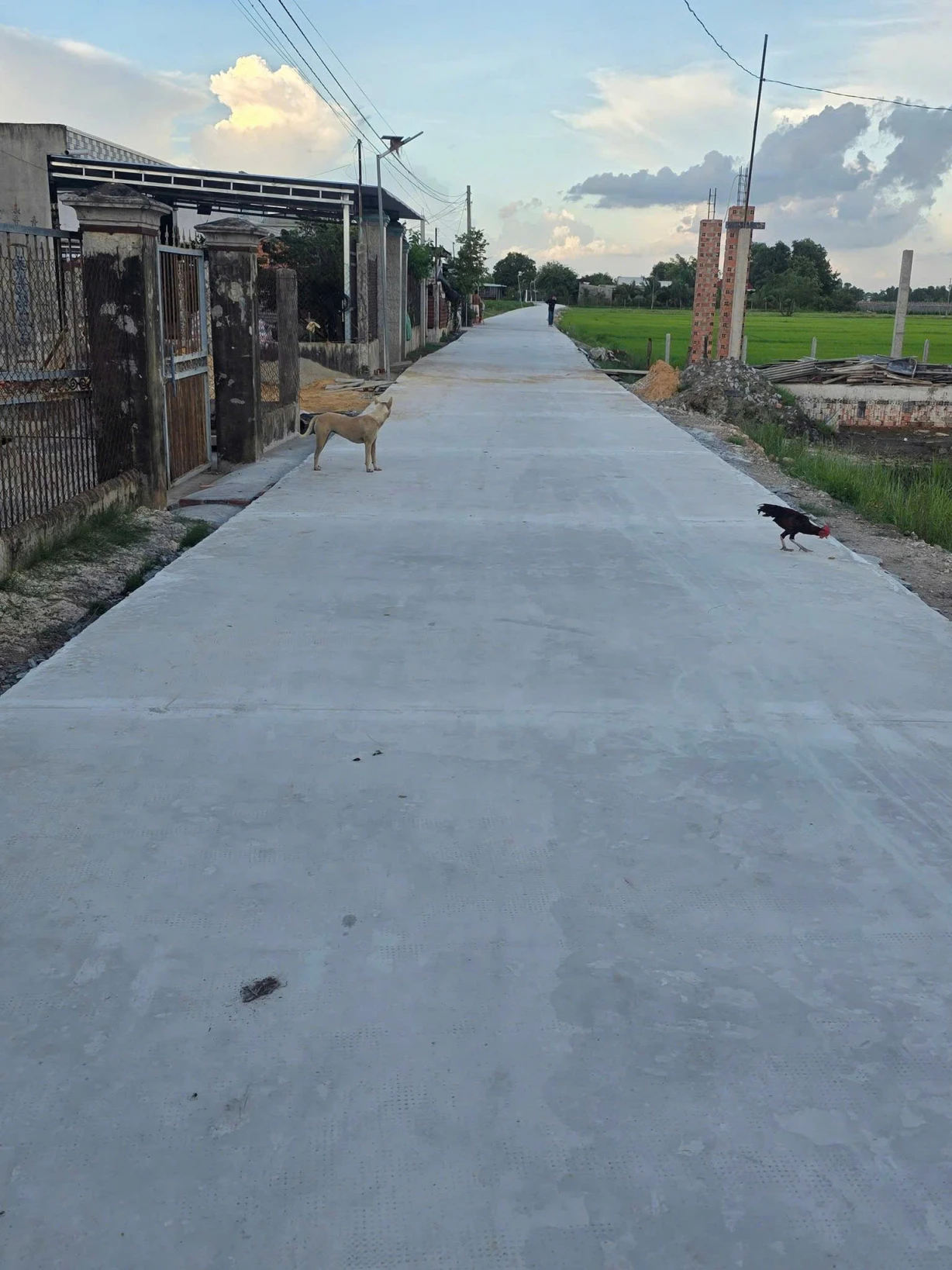 Đất An Thuận, An Ninh Đông - 165m2 thổ cư full, mặt tiền đường bê tông, giá 665 triệu
