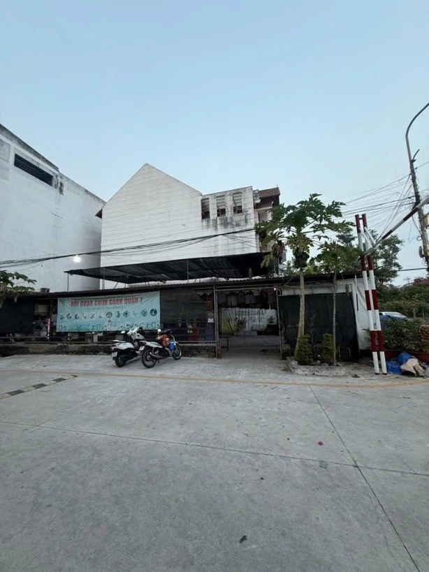 Quận 7, Hiếm, Căn Góc 10x21m, Chỉ 29 Tỷ, Đường Lê Văn Lương, P Tân Hưng, Bán Gấp