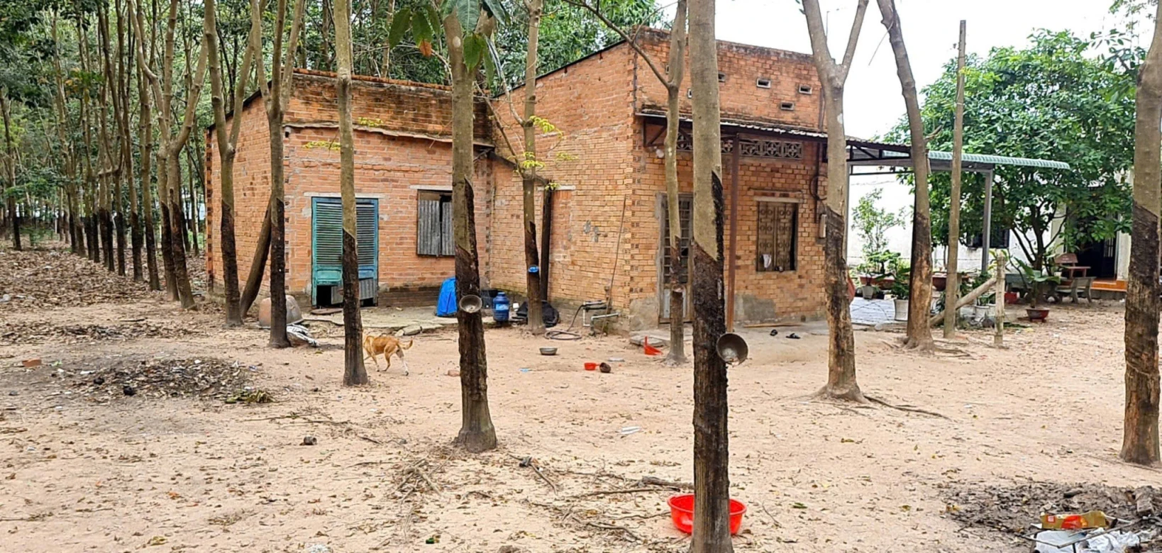 BÁN NHÀ & ĐẤT GẦN TỈNH LỘ 15 – AN NHƠN TÂY, TP.HCM