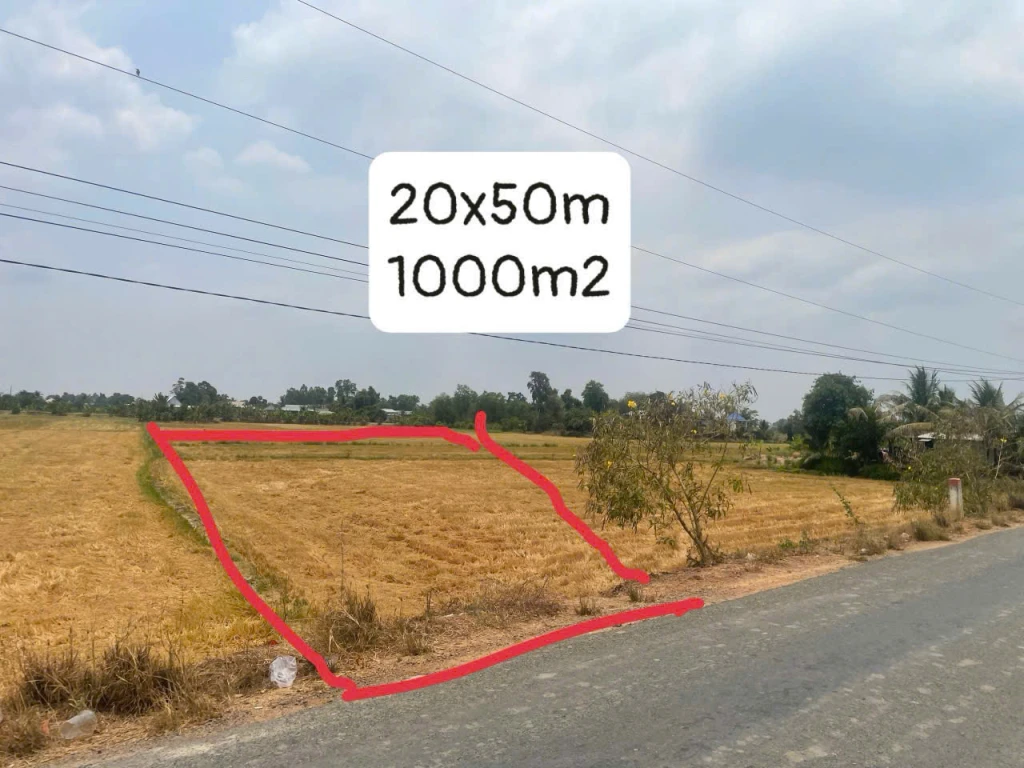 CHÍNH CHỦ BÁN 1000m2 ĐẤT THỔ CƯ – GIÁ TỐT TẠI LONG AN