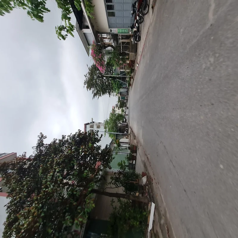 🔥 234m2 KĐG 31ha Trâu Quỳ Gia Lâm MT 12m đường 15m giá 3x tỷ 📞 0989894845