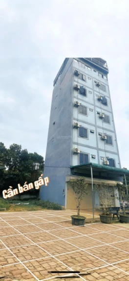 Bán đất chính chủ tại Xã Cổ Đông, Sơn Tây, Hà Nội, 30 triệu/m2, S= 100 m2 full thổ cư