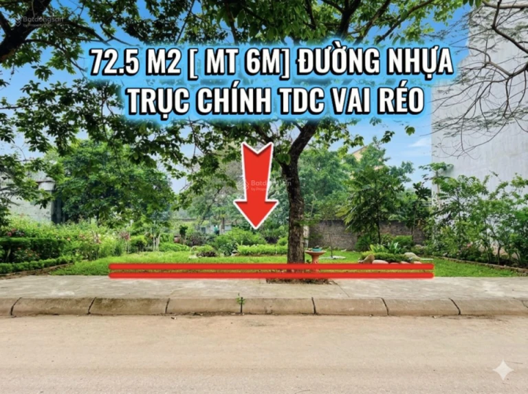 100M2 [ Mặt tiền 6M] ĐƯỜNG NHỰA TRỤC CHÍNH TĐC VAI RÉO
