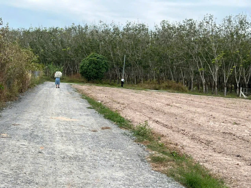 ĐẤT FULL THỔ CƯ XÃ LONG ĐẠI – GIÁ CHỈ 295 TRIỆU/NỀN