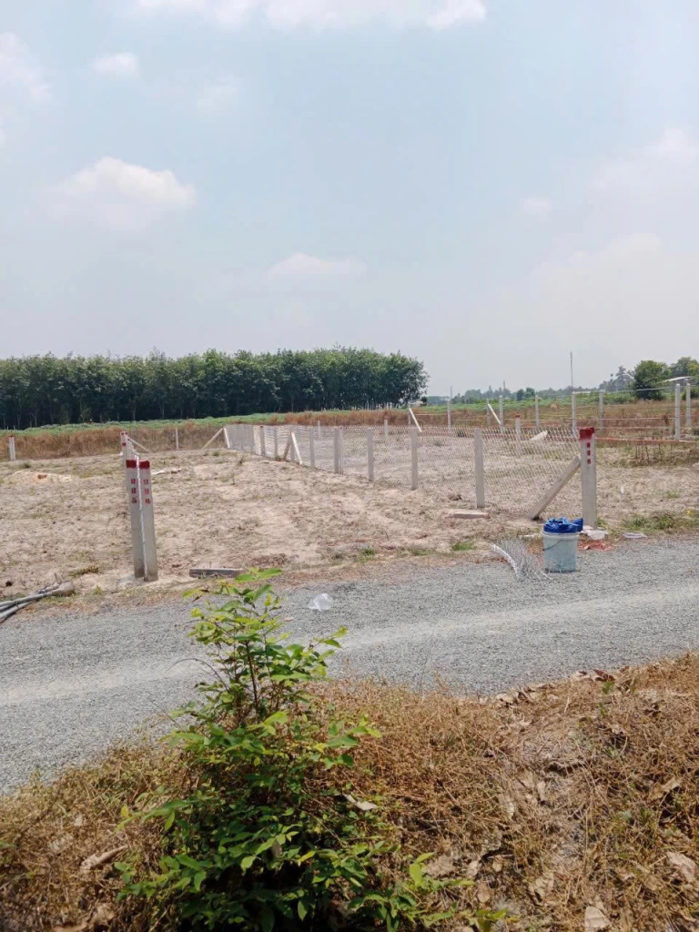 Đất đẹp Dương Minh Châu – 150m² full thổ cư, chỉ 360 triệu, mua là lời