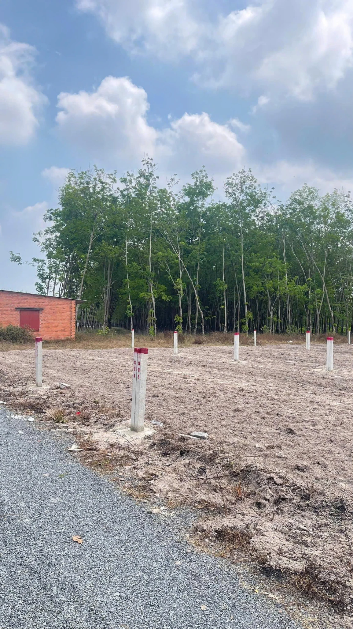 Đất sổ riêng 150m² tại Dương Minh Châu – giá mềm 360tr