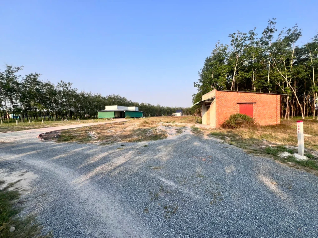 🚨 CHỈ 359 TRIỆU SỞ HỮU NGAY LÔ ĐẤT FULL THỔ CƯ 🚨