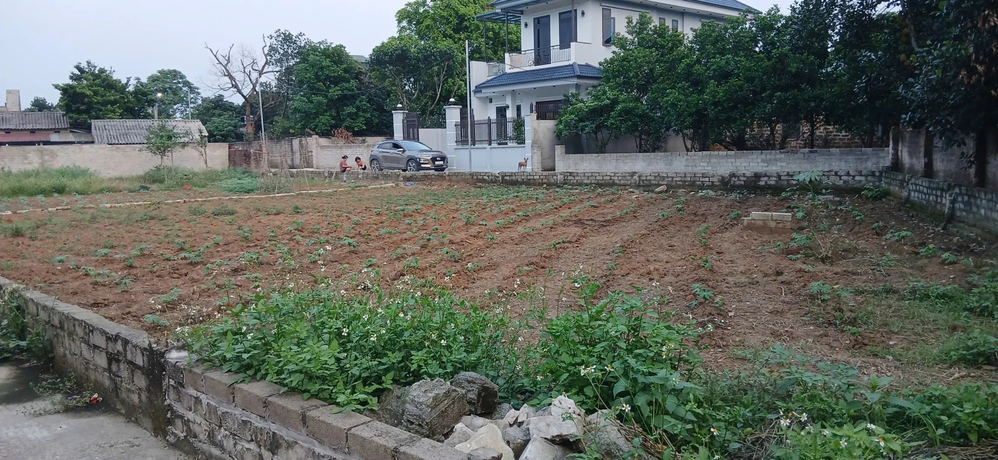 Duy nhất còn sót lại lô đất 230m , tại Phú Cát , sẵn sổ đỏ , giá chỉ 2 tỷ