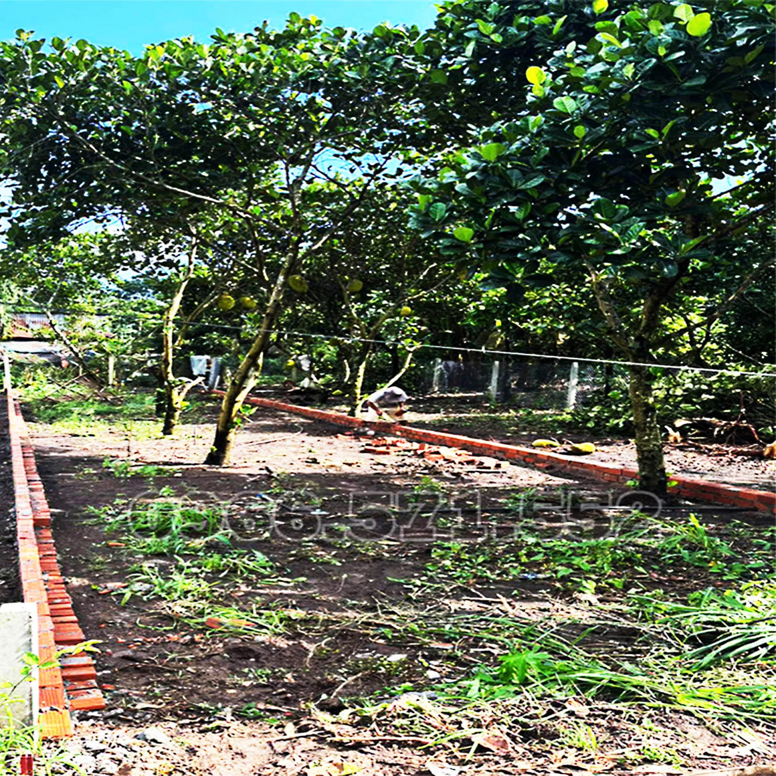 210m² THỔ CƯ, NGAY CHỢ HÀM NGHI – TP LONG KHÁNH – ĐN. CƠ HỘI X2,3 TÀI SẢN.