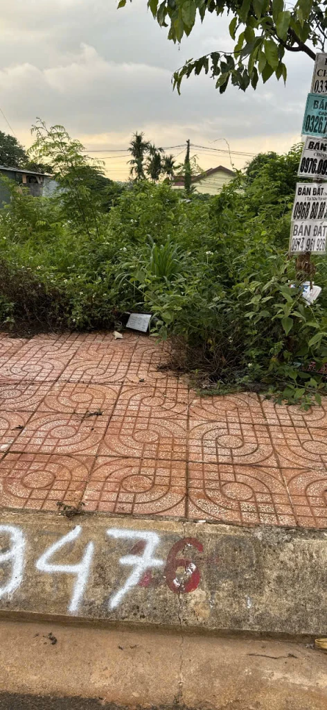 CHÍNH CHỦ BÁN ĐẤT KHU LÊ VỤ – PHƯỜNG TÂN LẬP, BUÔN MA THUỘT