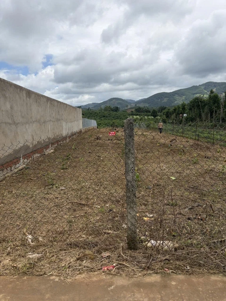 BÁN ĐẤT MẶT TIỀN PHI TÔ, LÂM HÀ , LÂM ĐỒNG – 709M² - 300M² THỔ CƯ CHỈ  1,55 TỶ