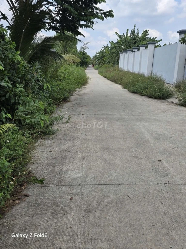 CHÍNH CHỦ BÁN GẤP ĐẤT THỔ CƯ BÌNH CHÁNH – 350M² – GIÁ 5,7 TỶ