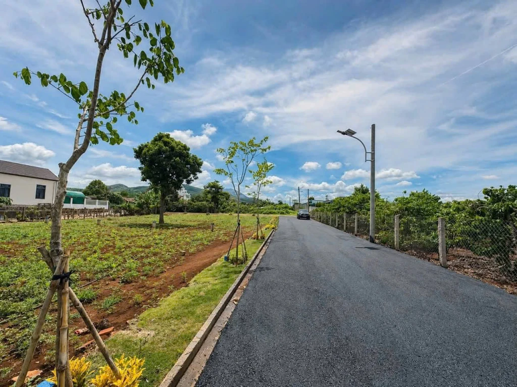 📣 CẦN BÁN NHANH LÔ GÓC 115M² TẠI ĐỨC TRỌNG
