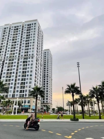 Thanh Khê-Đinh Tiên Hoàng- K,ôTô Thông