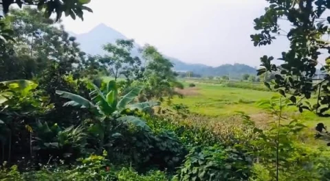 Cô Hươn bán lô đất 630m2 cách trung tâm xã chưa đến 1km, giá chỉ HƠN 1 TỶ.