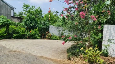 CHỈ HƠN TRIỆU/ M2