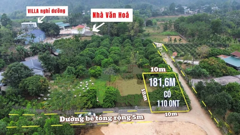 Siêu Phẩm Lô Góc S= 181m2 ( Có 110m2 ONT ) .mặt tiền bằng hậu 10m