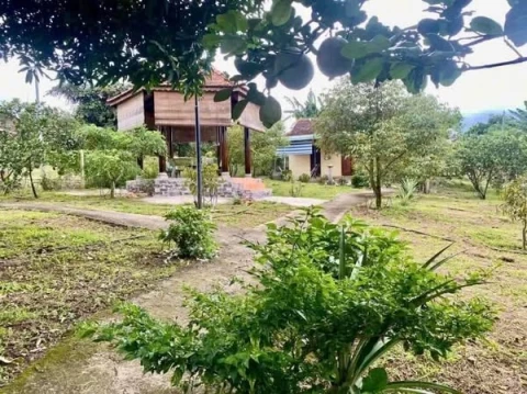 Giá. 320tr, sổ hồng riêng, công chứng nhanh