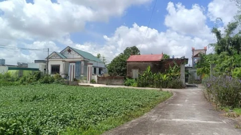 Bác nào thích gần tp xây biệt thự sân vườn ,ao lấy e này là hợp lý