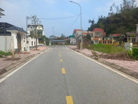 Lô Đất Tiềm Năng Làm Nhà Biệt Thự Tại Khu Đấu Giá Suối Rồng, Đồ Sơn. Giá 2x triệu/m